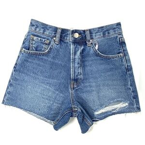 Anine Bing Gina shorts